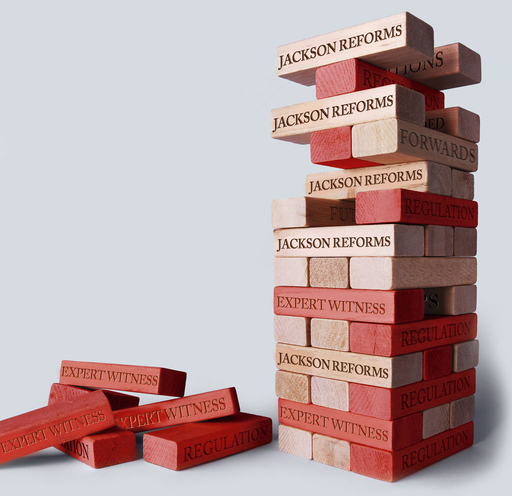 web_expertwitness_too_high_a_risk_solon