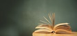 Turning the page on pro bono
